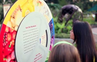 children outdoors spinning an interactive food wheel