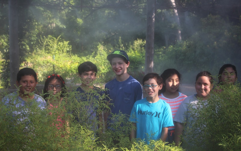 Children standing amongst the garden