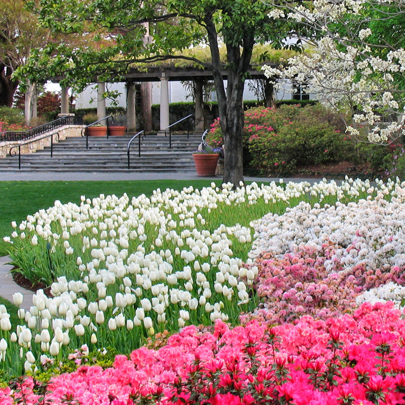 Garden Tour Harvest Moon A New Beginning - Best Tourist Places in the World