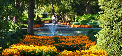 The Dallas Arboretum And Botanical Garden Activities