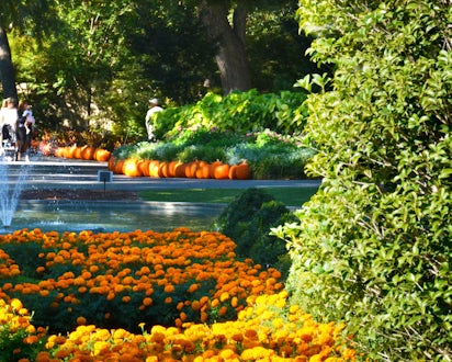 Visit The Dallas Arboretum And Botanical Garden
