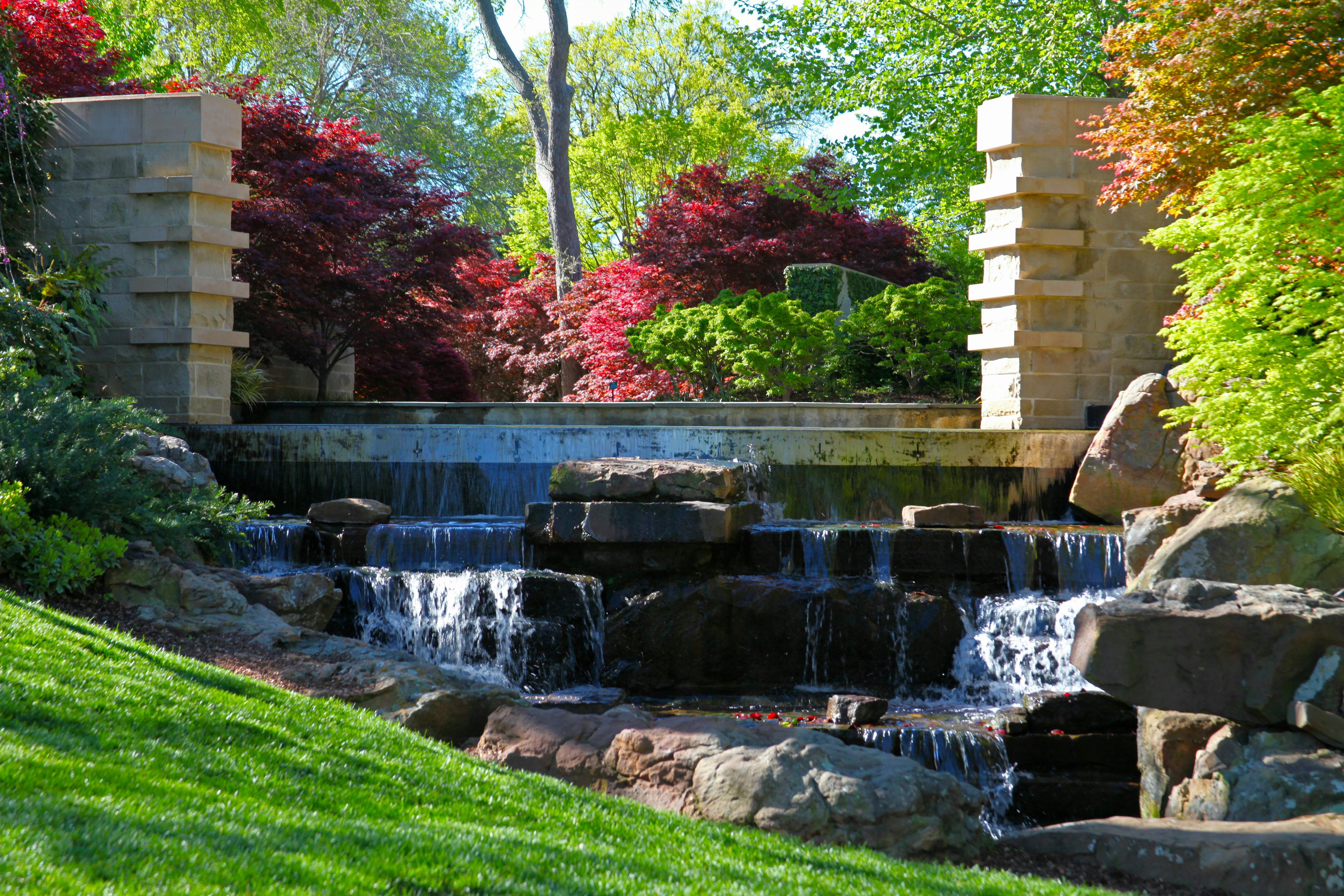 Cascades of Red Maple Rill