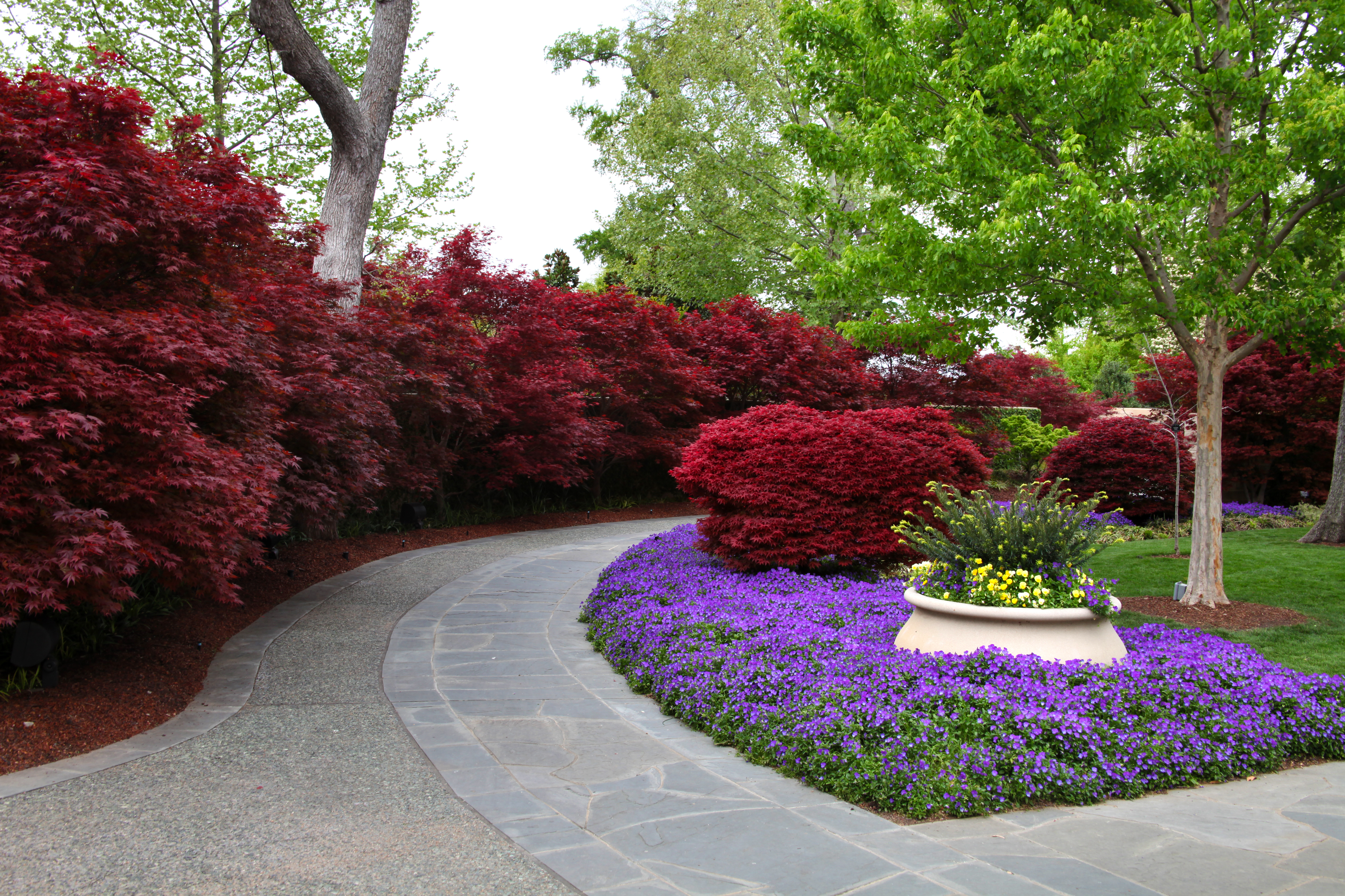 Spring Time in Red Maple Rill