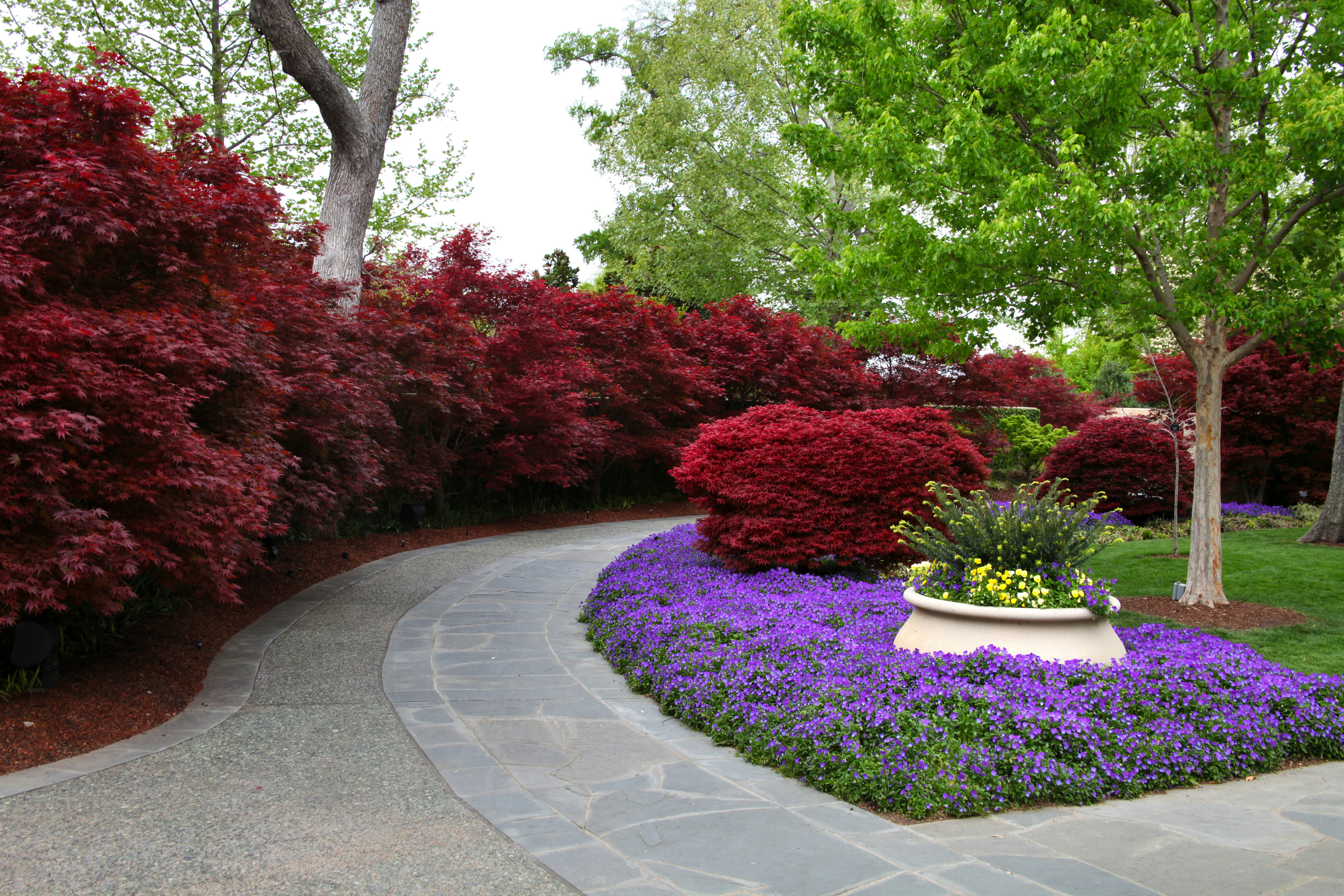 Spring Time in Red Maple Rill