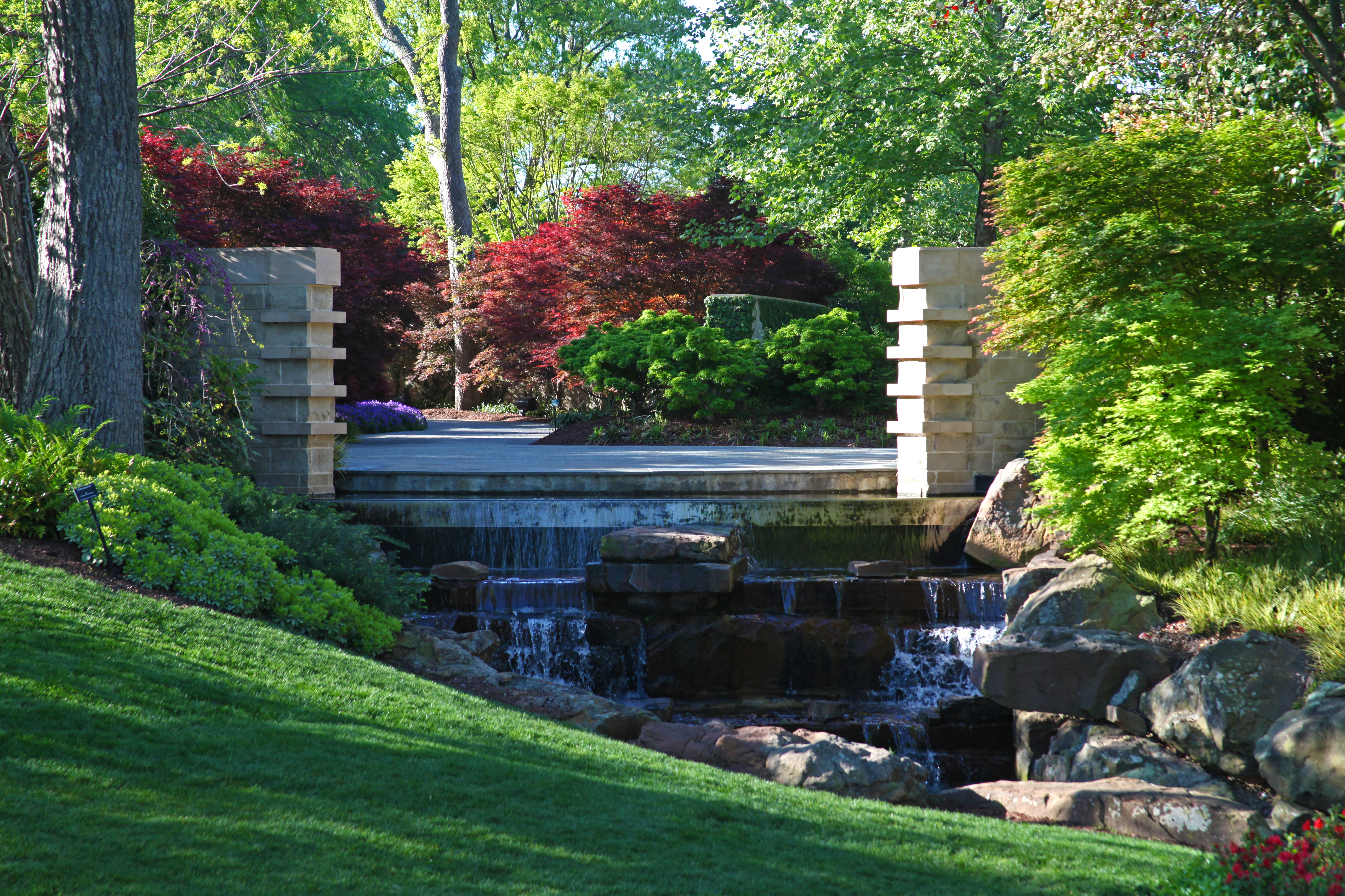 Morning View of Red Maple Rill