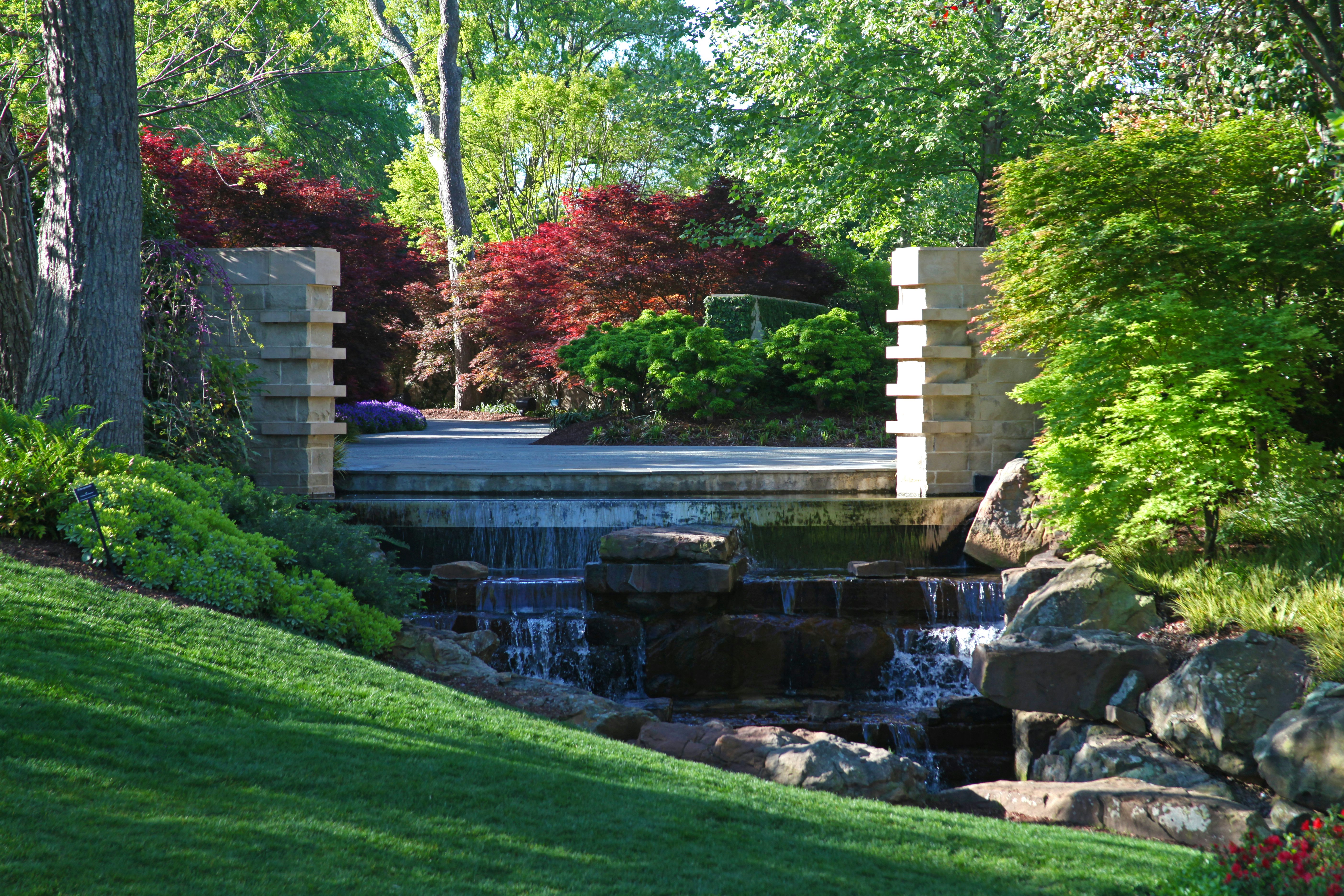 Morning View of Red Maple Rill