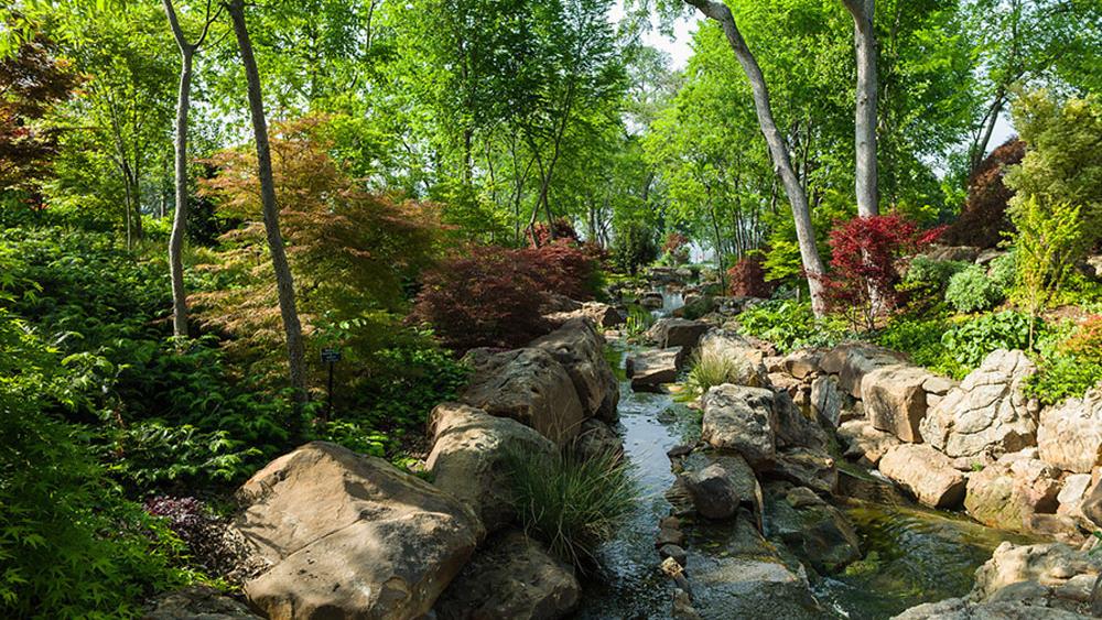 Amazing View of the Red Maple Rill