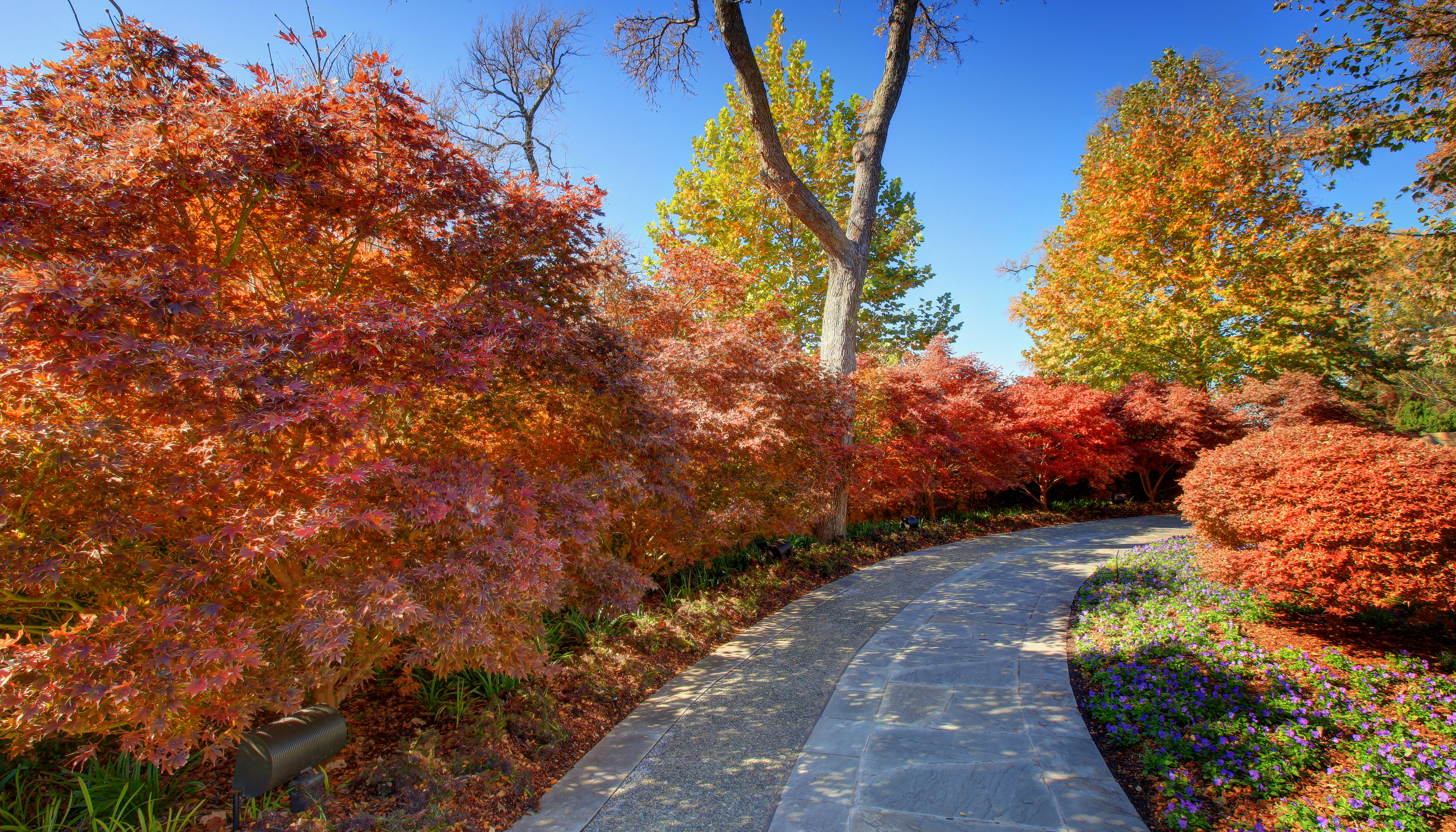 A Walkway in the Fall