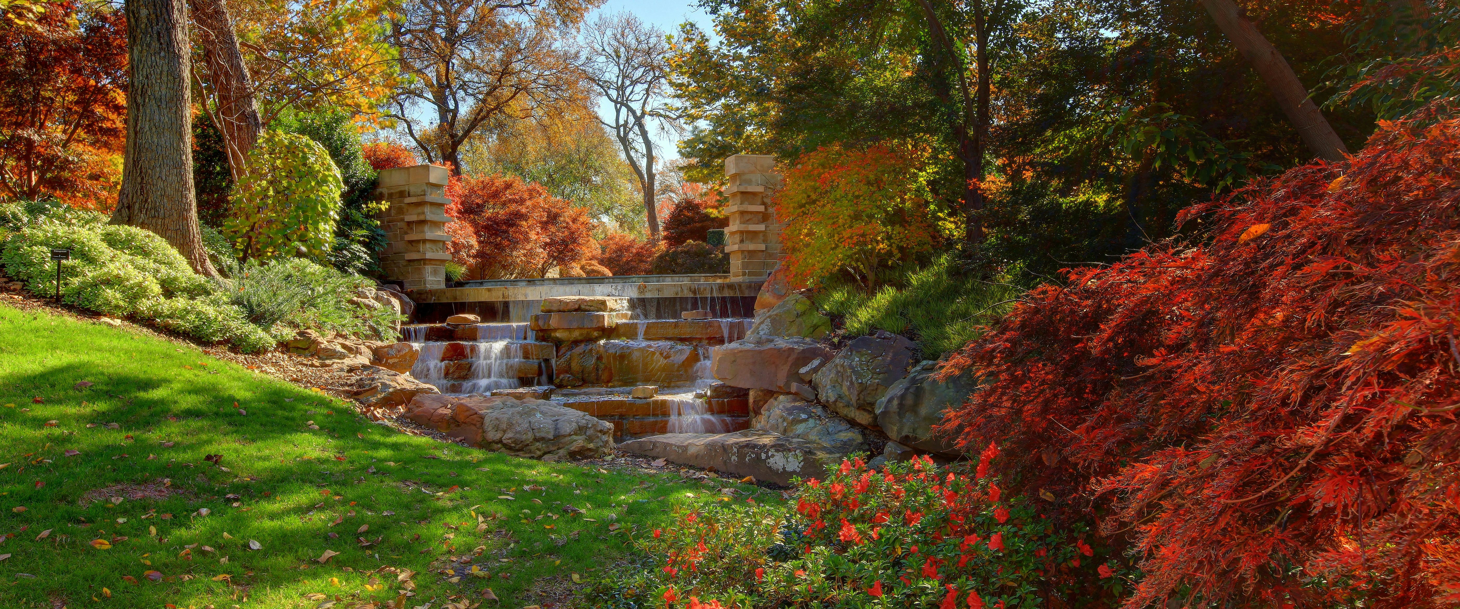 The Red Maple Rill Transitioning into Fall Colors
