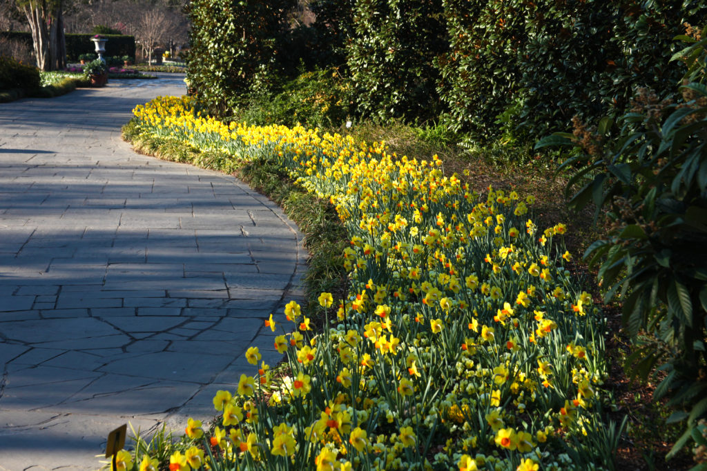 Calendar of Events Dallas Arboretum and Botanical Garden