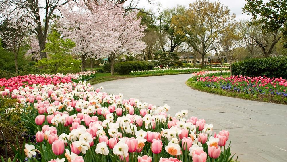 The Lyda Bunker Hunt Paseo de Flores | Dallas Arboretum