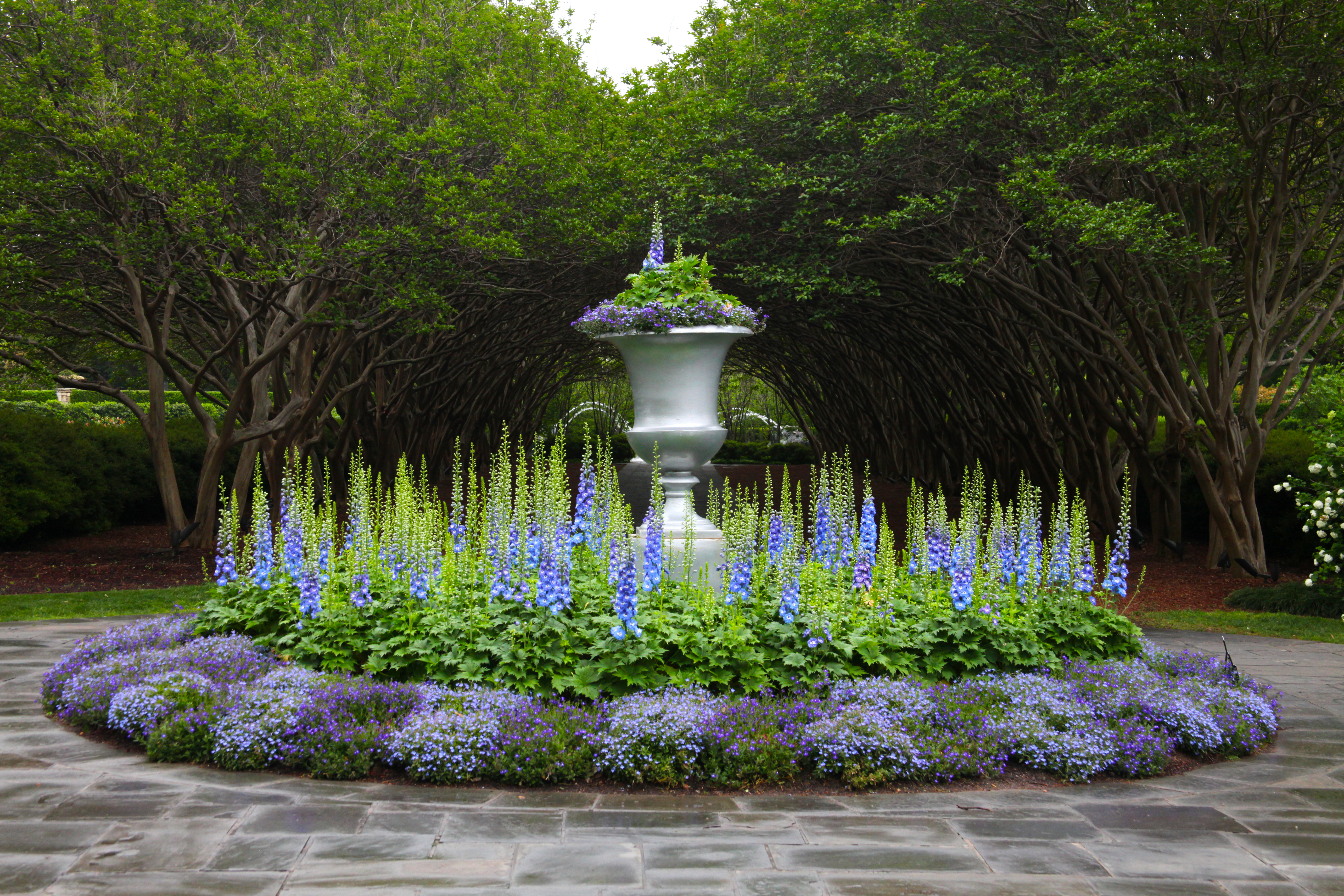 Crape Myrtle Allee | Dallas Arboretum and Botanical Garden
