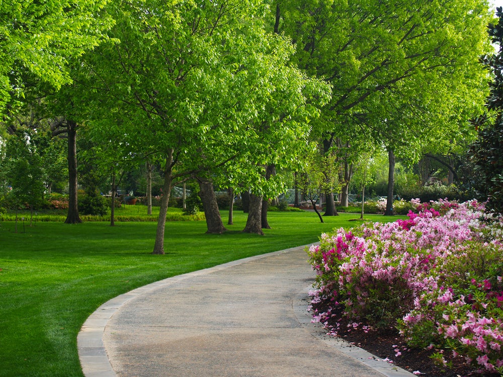 Beautiful Walking Path in the Lindsley Shadow Garden