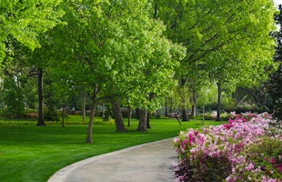 Beautiful Walking Path in the Lindsley Shadow Garden