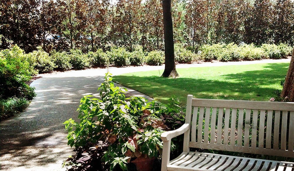 Chandler Lindsley Shadow Garden | Dallas Arboretum