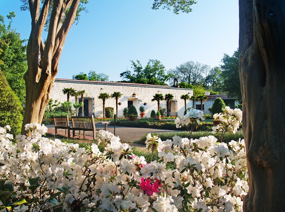 The DeGolyer House in the Spring