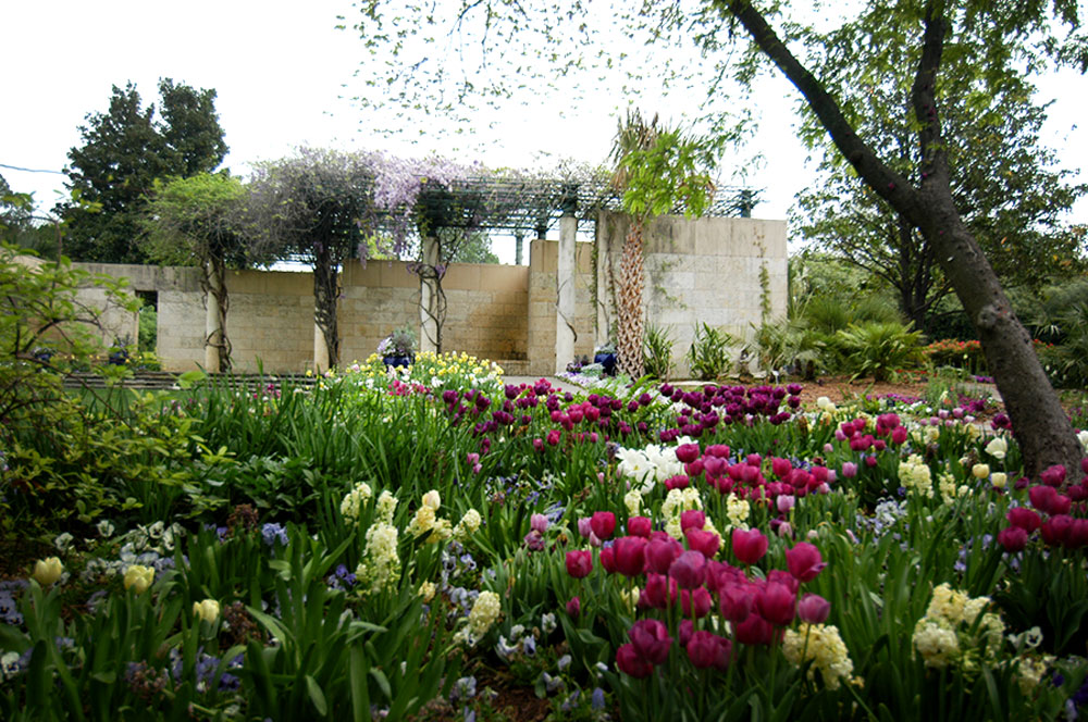 Spring Color in the Lay Garden