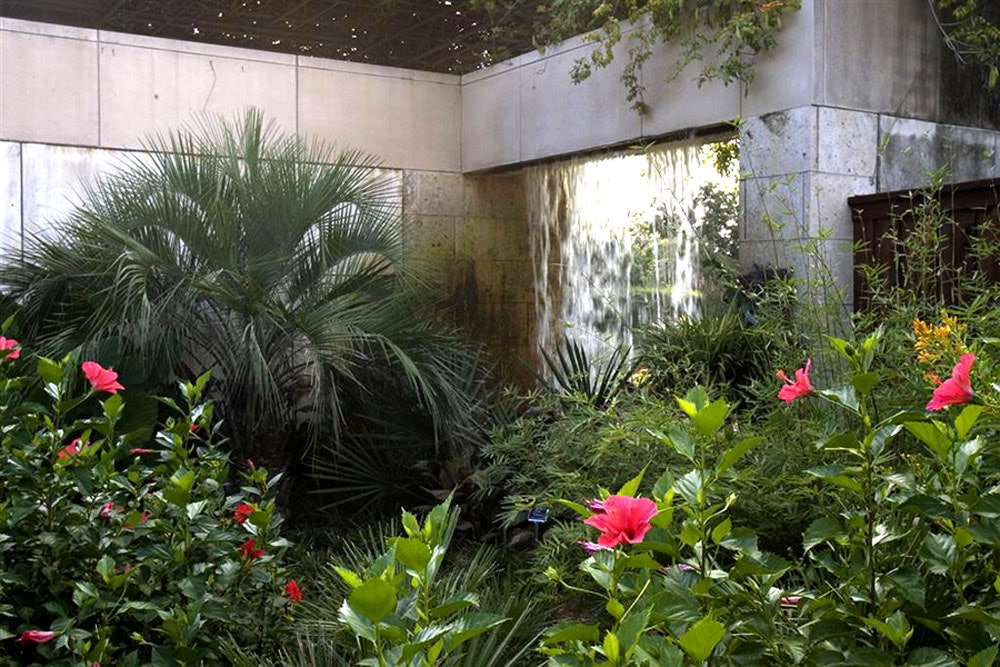 The Water Walls and Hardy Palm Collection in the Lay Garden