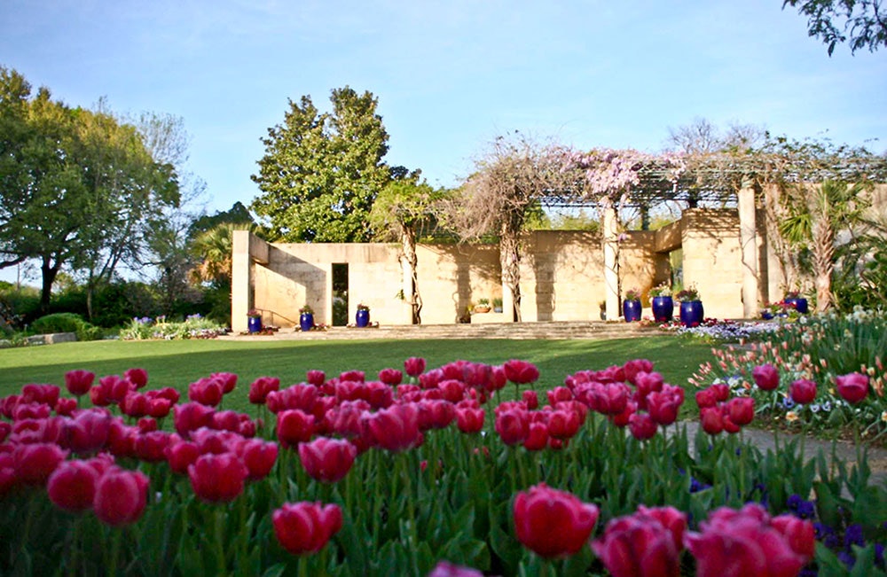 Tulips Blooming at the Water Walls in the Lay Garden