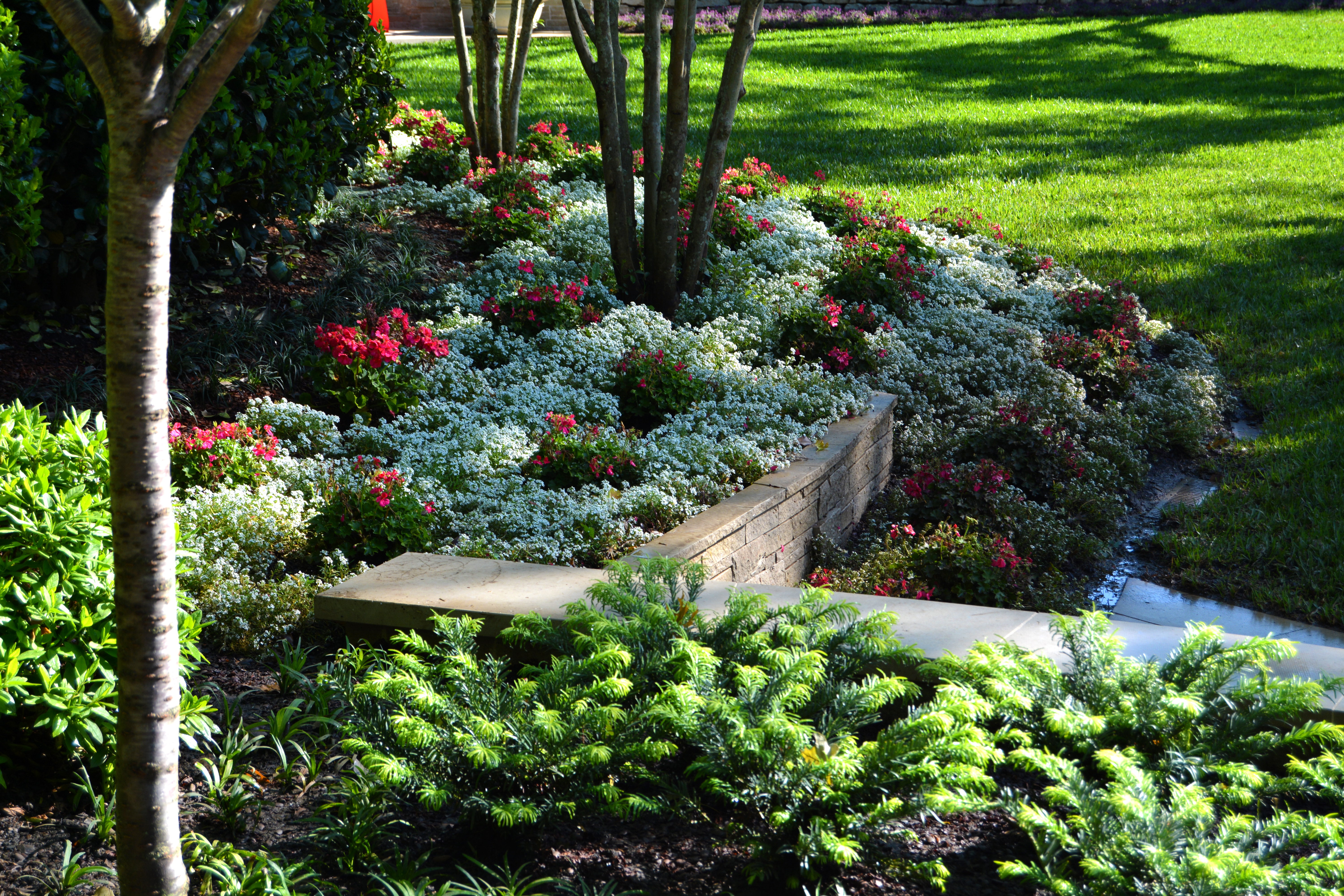Lucious Greenery at the Garden of Memories