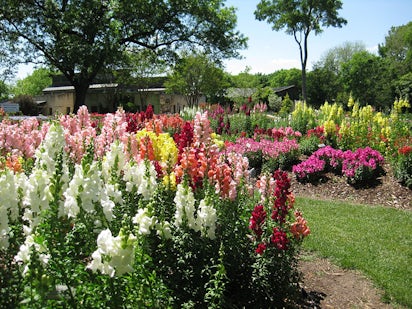 The Trial Gardens Dallas Arboretum And Botanical Garden