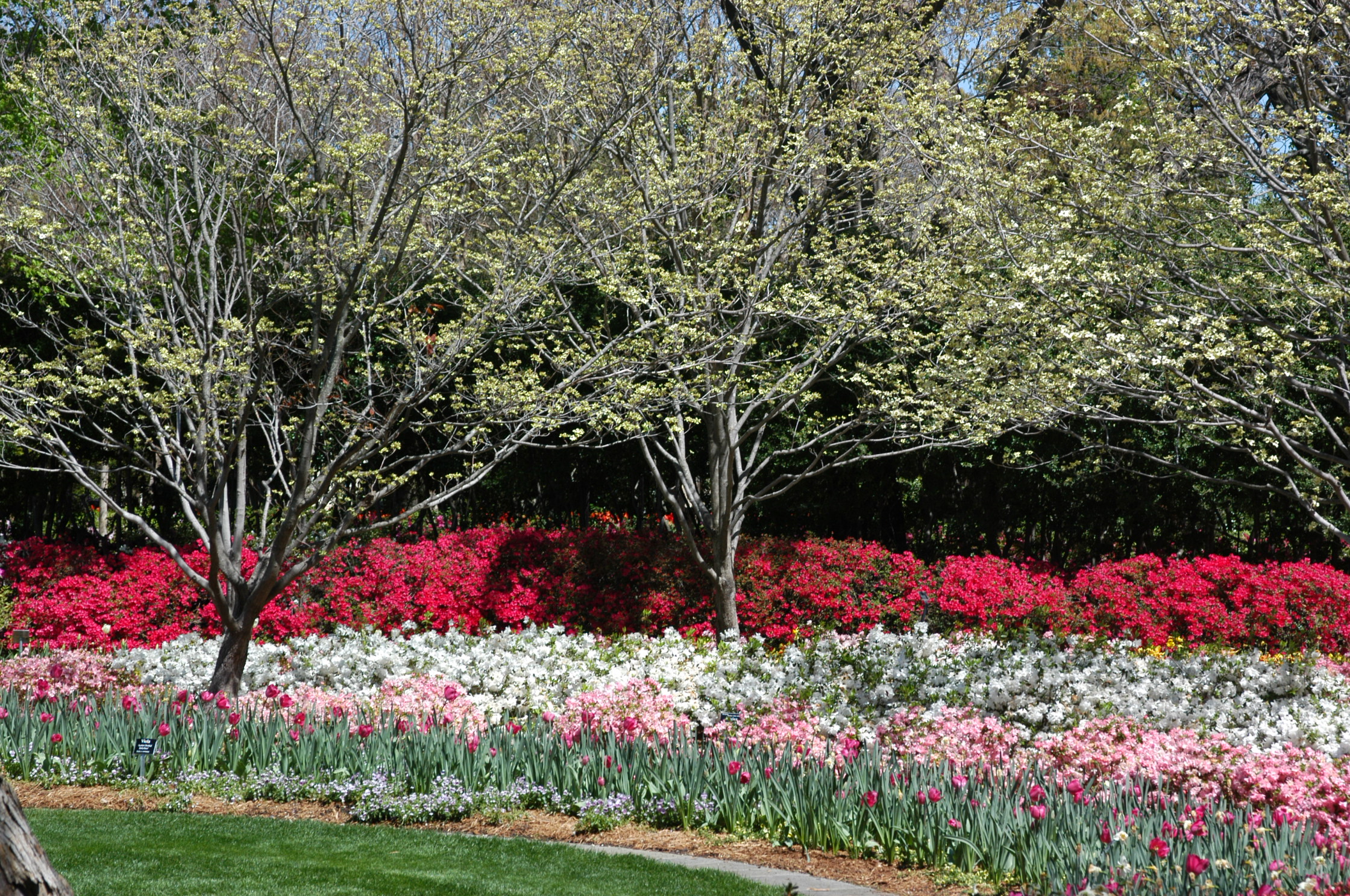 Featured Discounts Dallas Arboretum And Botanical Garden