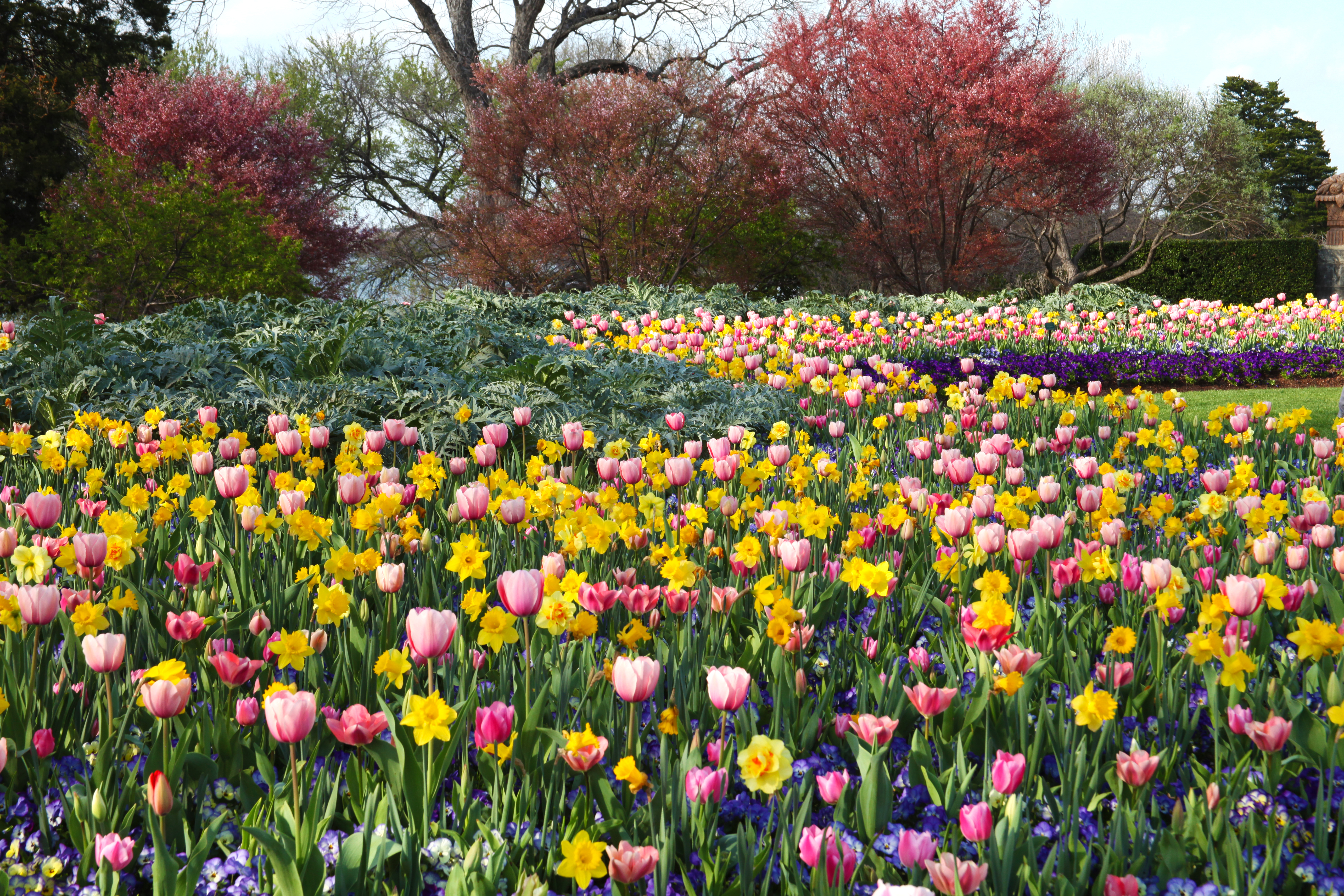 Margaret Elizabeth Jonsson Color Garden Dallas Arboretum And Margaret Elizabeth Jonsson Color Garden