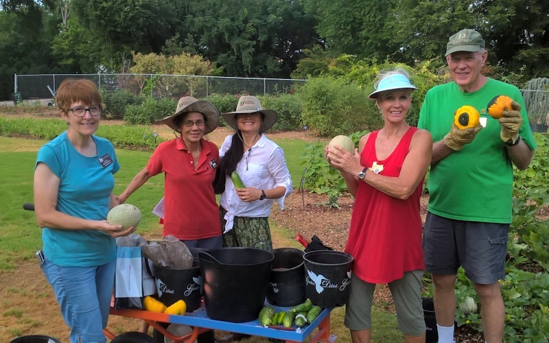 Group of volunteers in the garden smiling