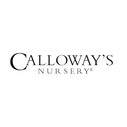 Calloways