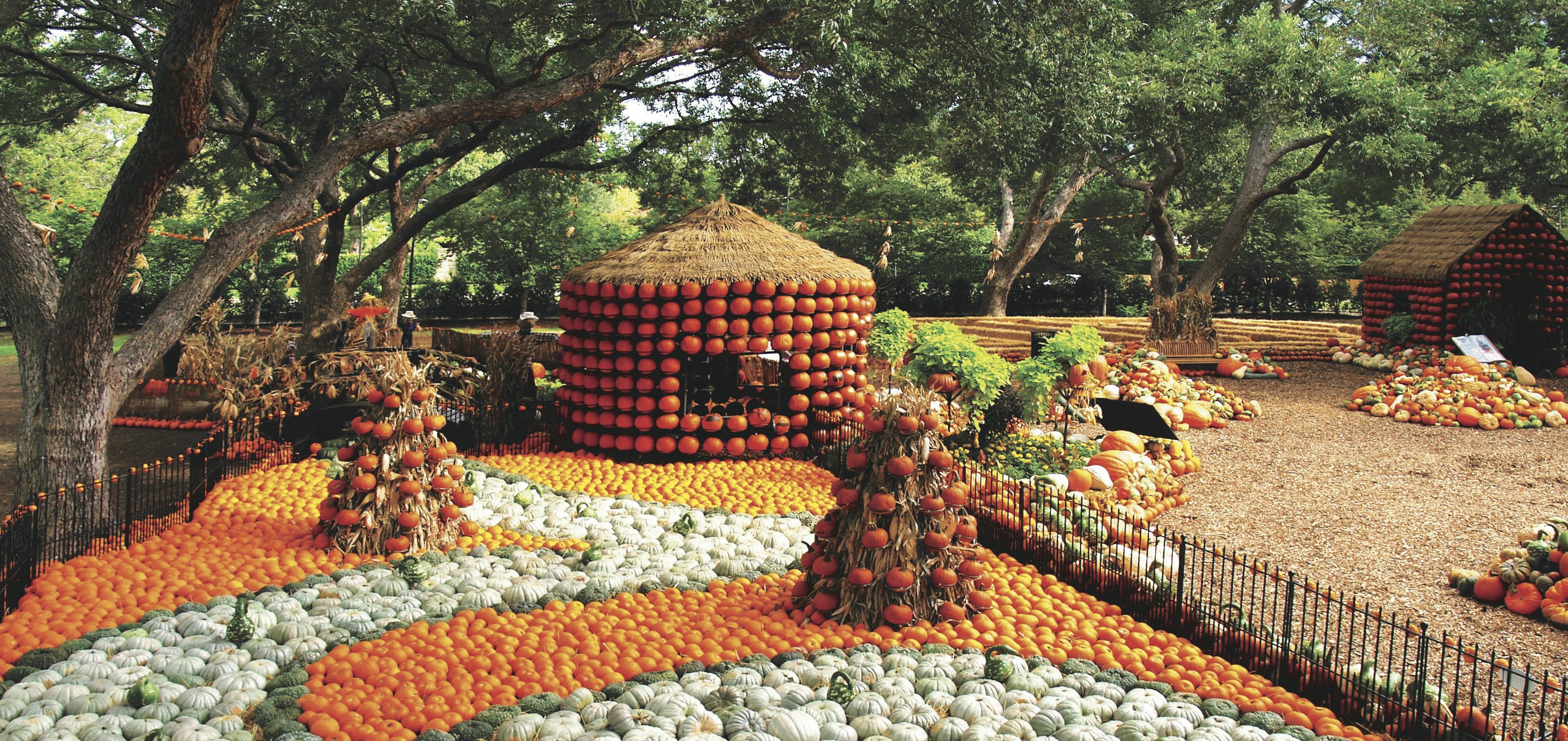 Autumn at the Arboretum Dallas Arboretum and Botanical Garden