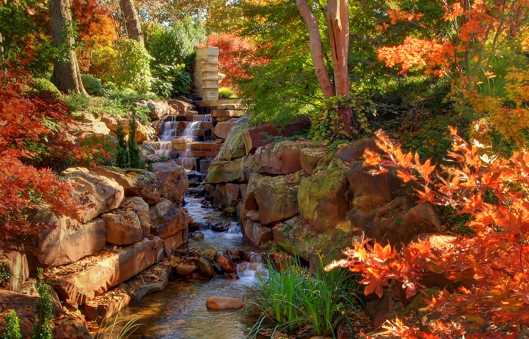 Photo Shoots | Dallas Arboretum And Botanical Garden