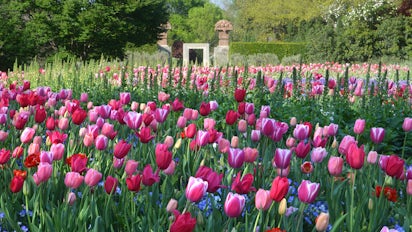 Dallas Arboretum and Botanical Garden