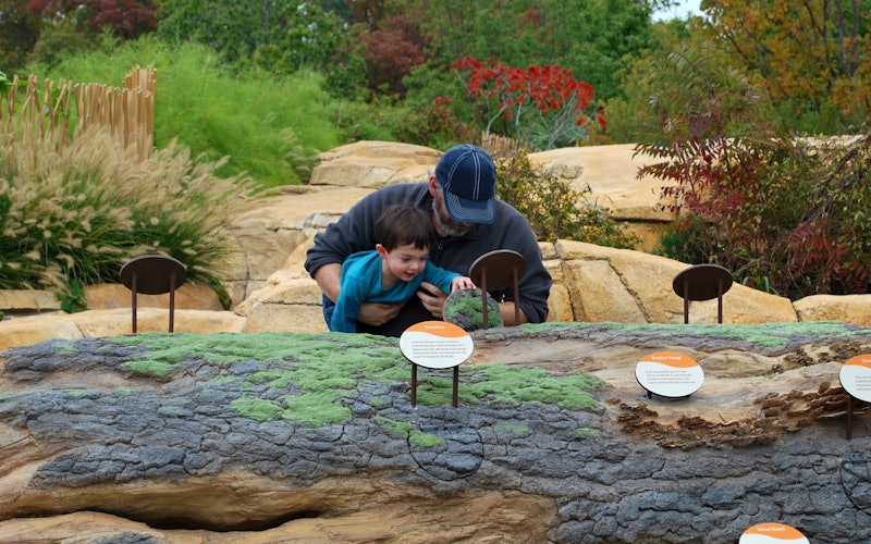 habitats at home