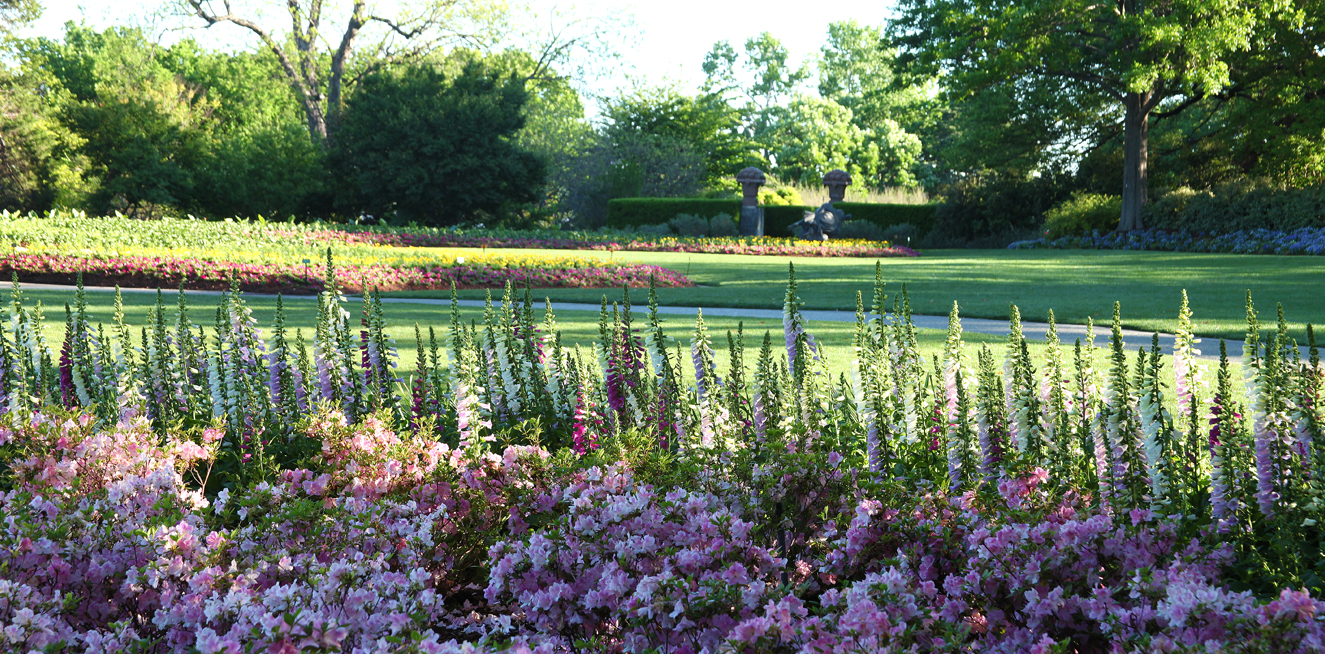 Dallas Arboretum And Botanical Garden
