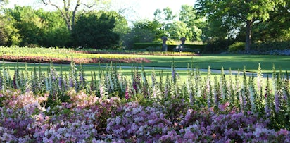Dallas Arboretum And Botanical Garden