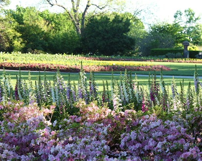 Dallas Arboretum And Botanical Garden