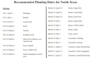 planning planting