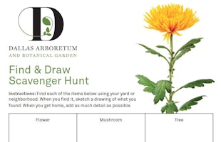 find and draw 3