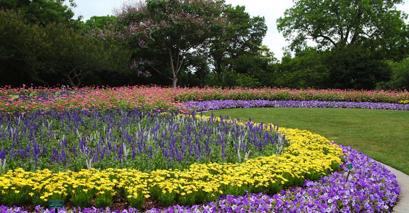 Jonsson Color Garden