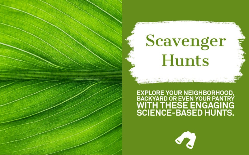 Scavenger Hunt