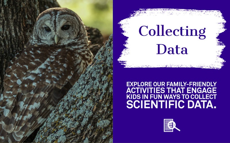 Collecting Data