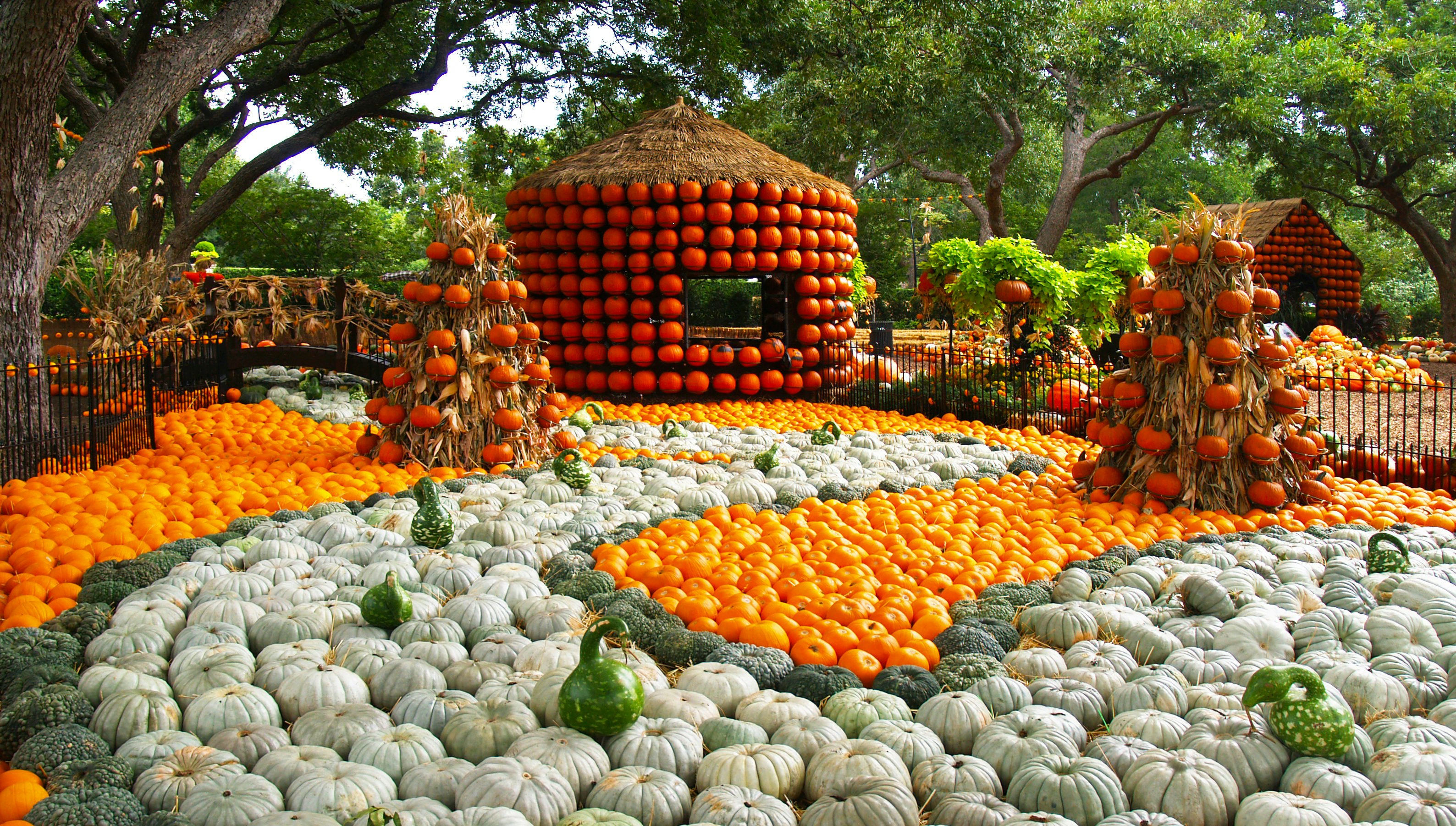 Calendar of Events Dallas Arboretum and Botanical Garden