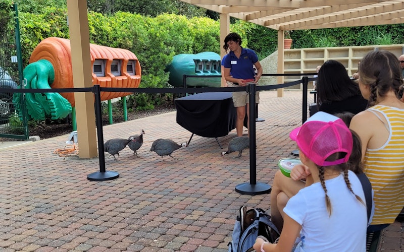 Dallas Zoo: Animal Adventures | Dallas Arboretum and Botanical Garden Dallas Zoo: Animal Adventures | Dallas Arboretum and Botanical Garden