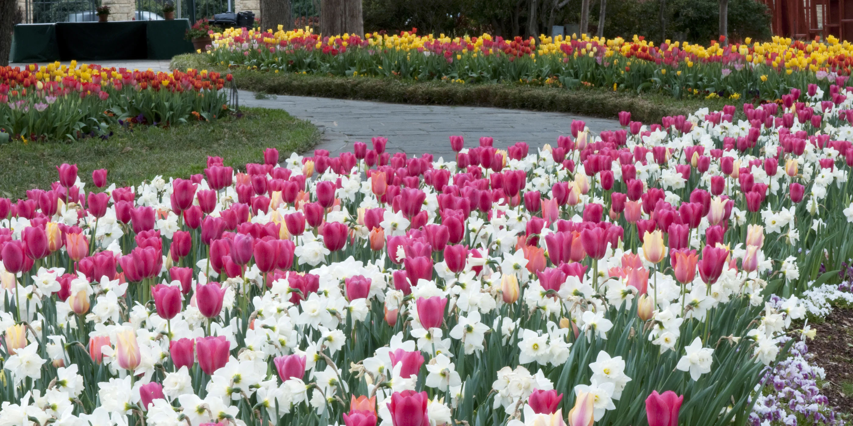 Dallas Arboretum and Botanical Garden