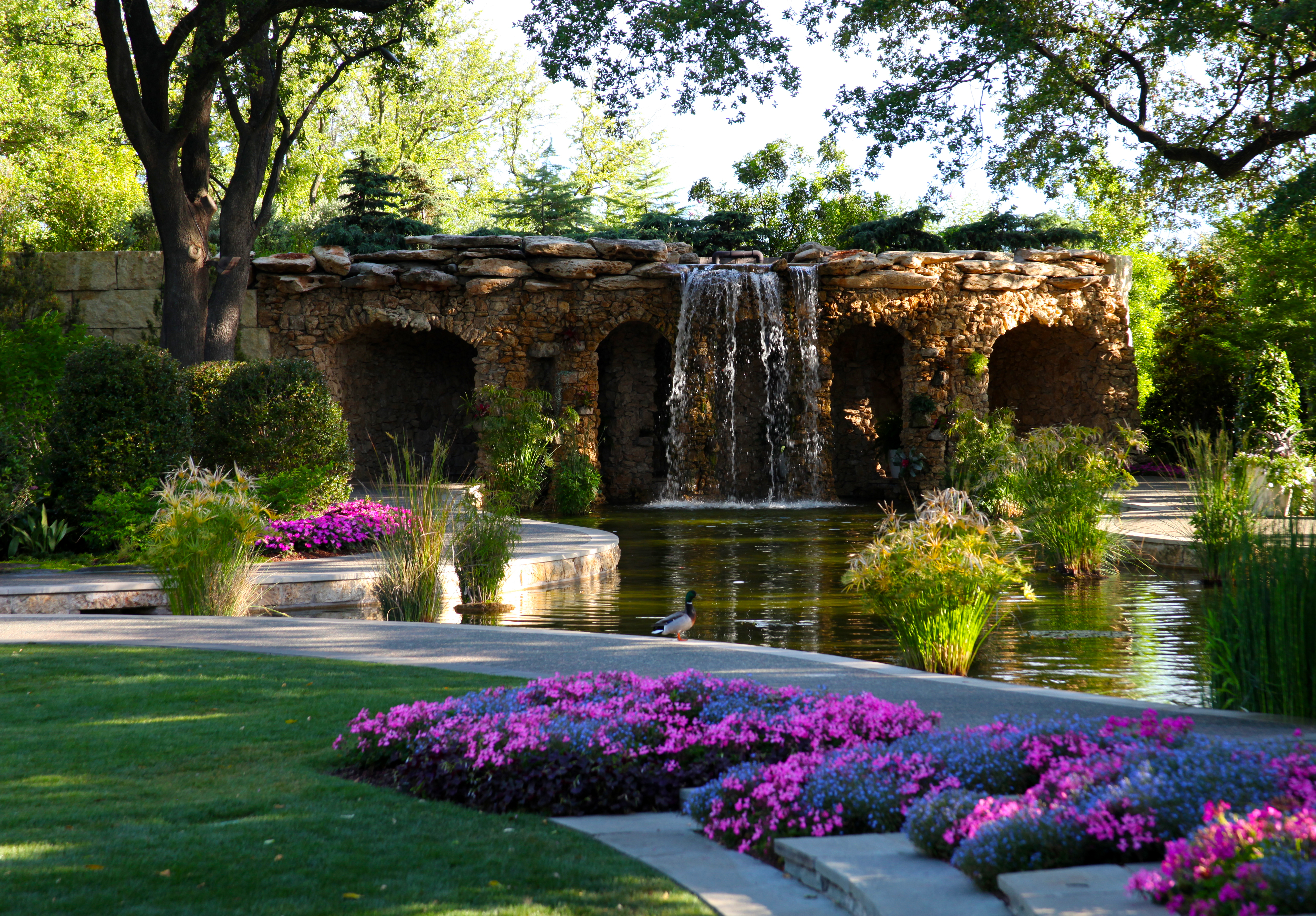 Events & Activities | Dallas Arboretum and Botanical Garden