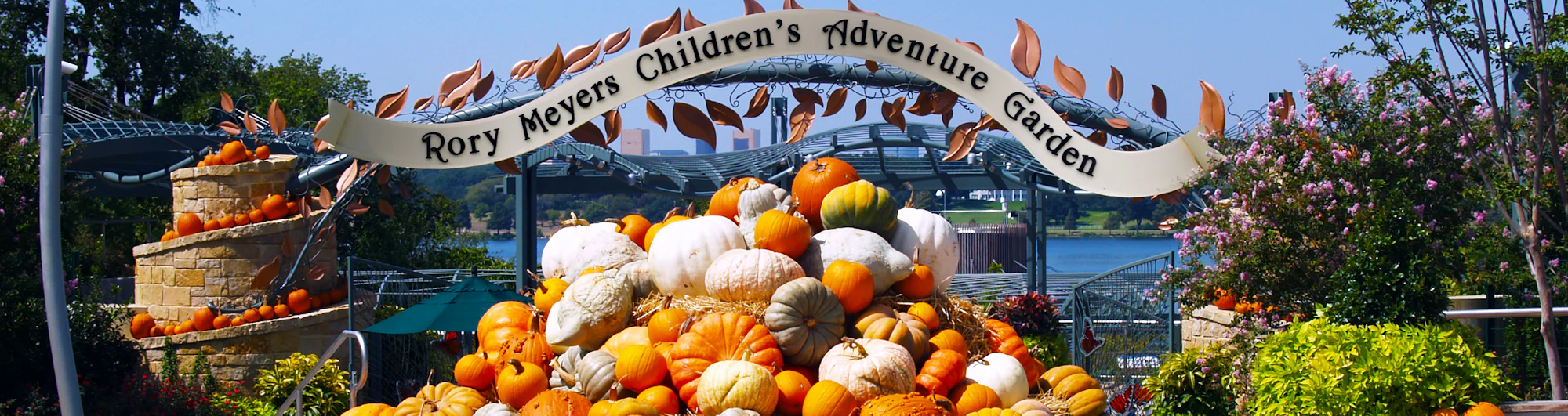 BOO-tanical Trick or Treat — Dallas Arboretum