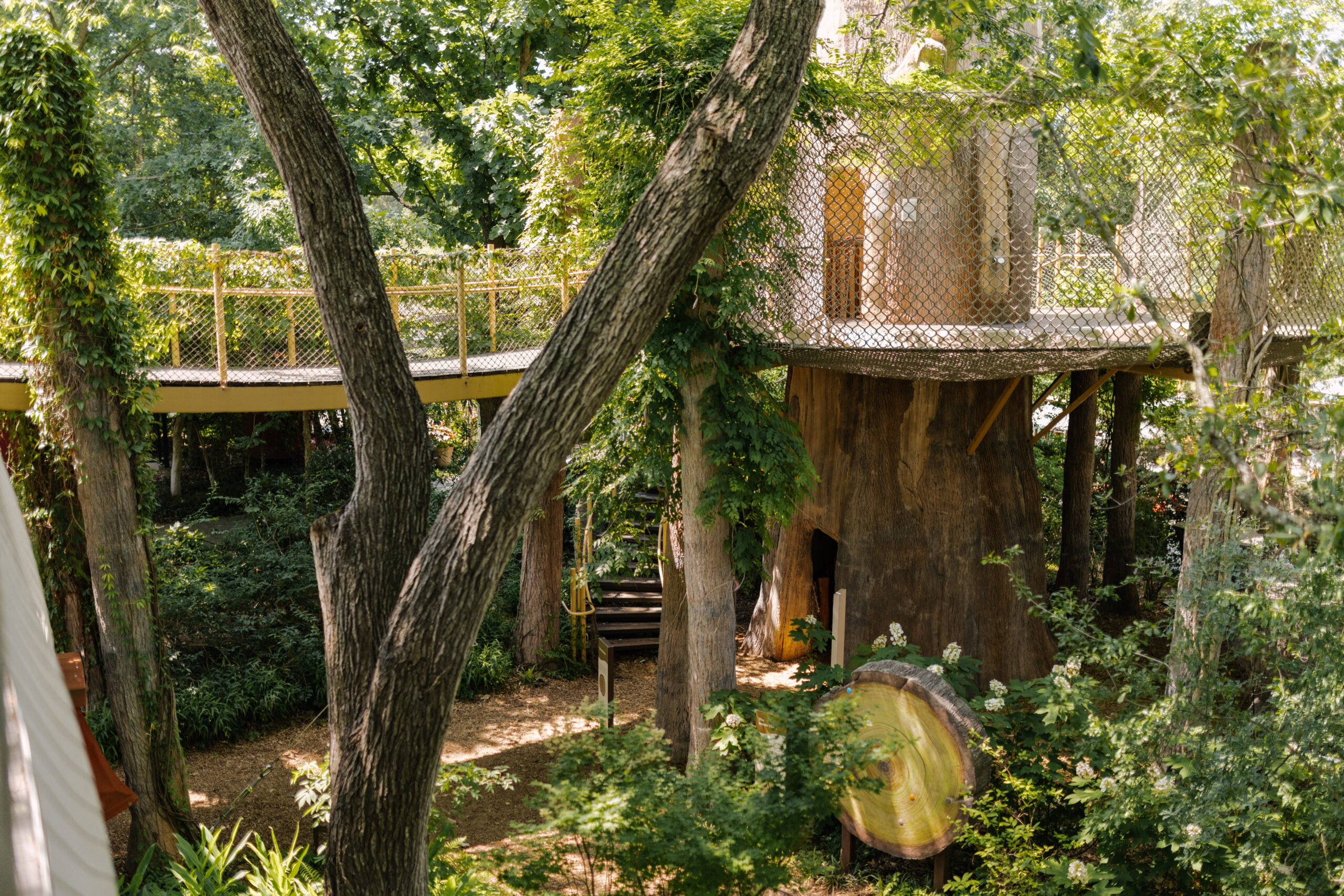Learn more about the Rory Meyers Children's Adventure Garden