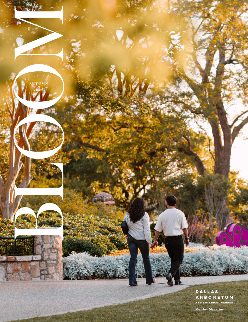InBloom Fall 2026 cover
