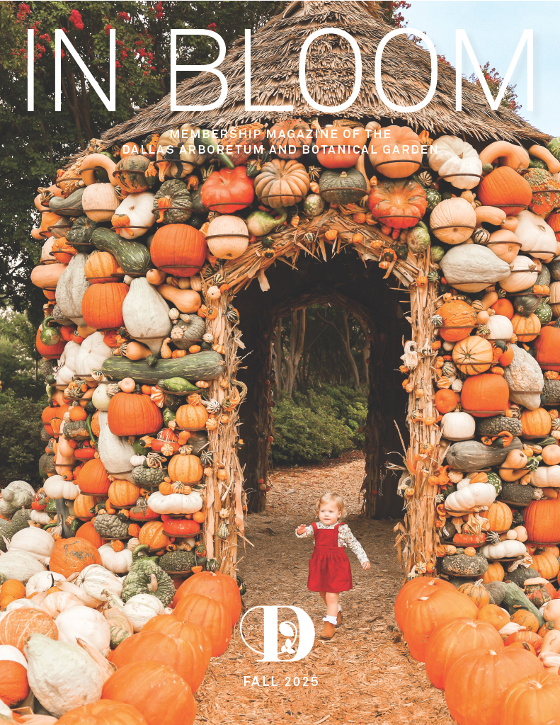 InBloom Fall 2025 cover