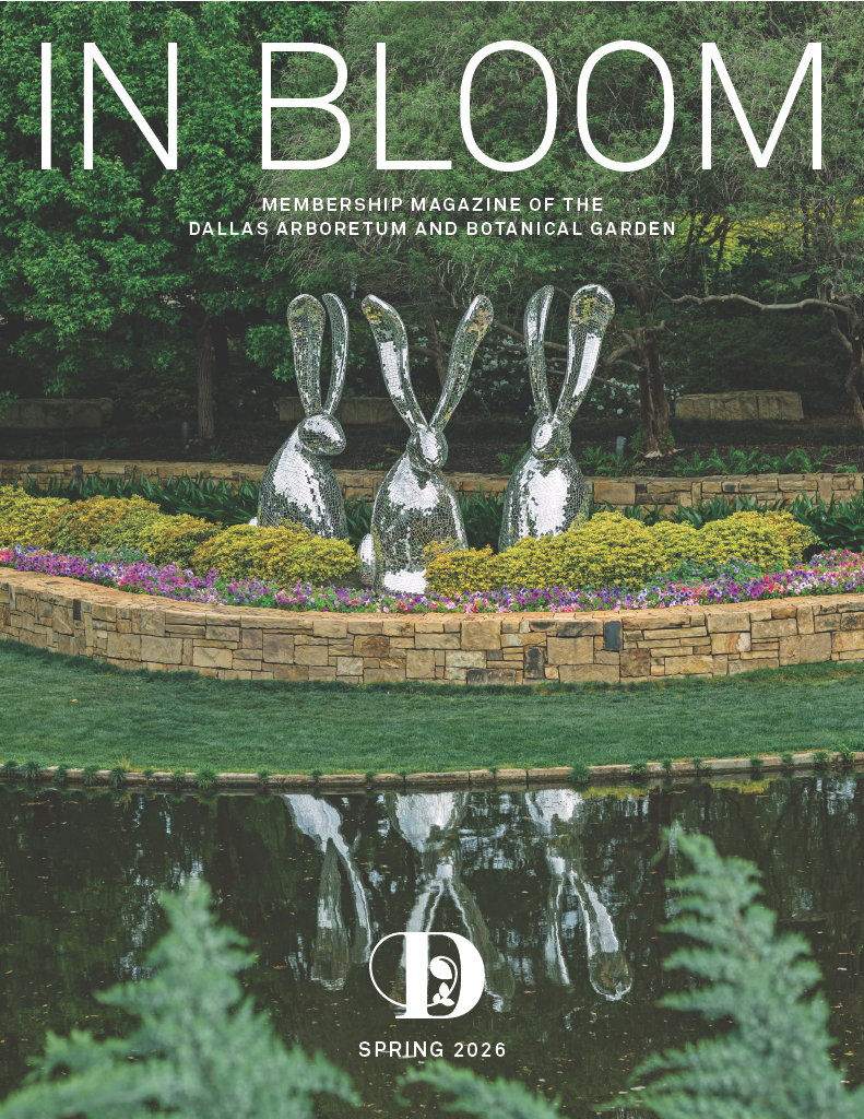 InBloom Spring 2026 cover